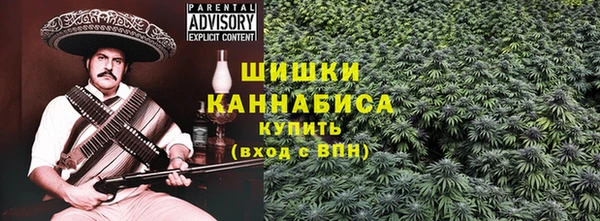 амф Арсеньев