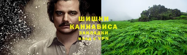 амф Арсеньев